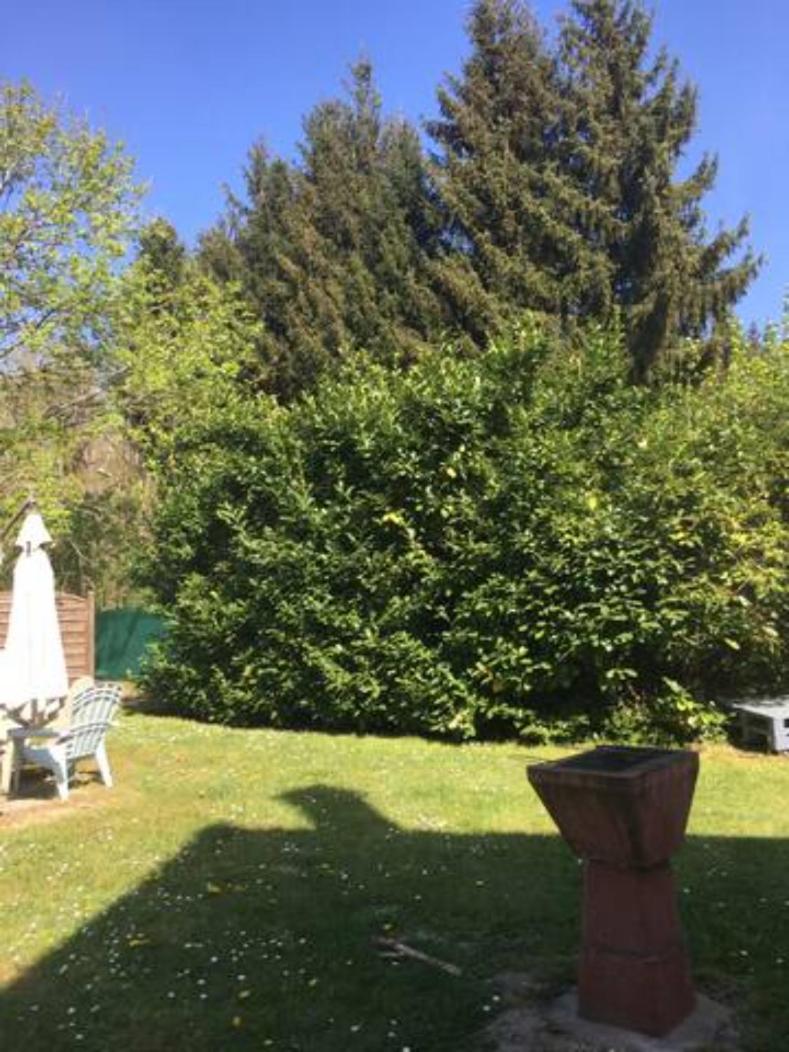 Gite Cosy Proche Fontainebleau Et Foret Noisy-sur-Ecole Exteriör bild